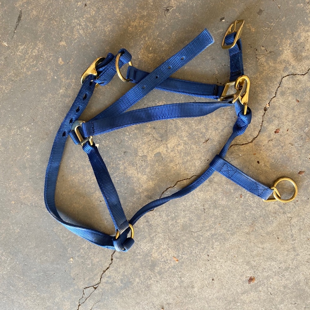 halter and halter rope